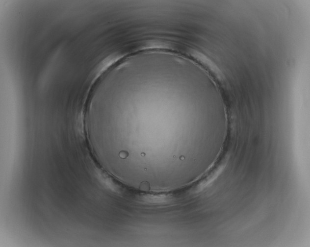 X0000111601121200907301441
