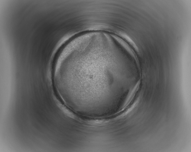 X0000111601122200907301441