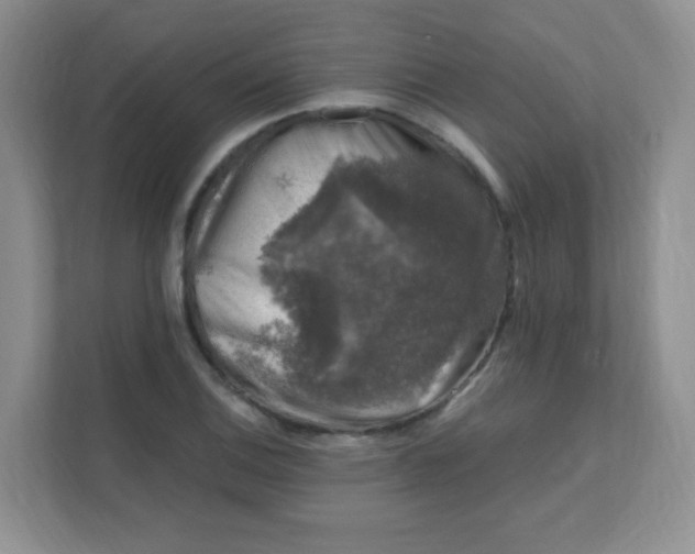 X0000111601124200907301441