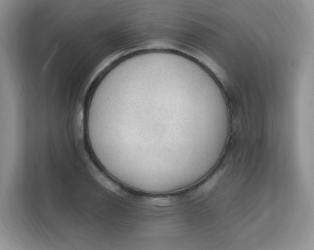 X0000111601126200907301441