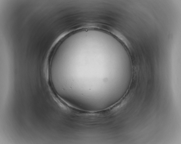 X0000111601127200907301441