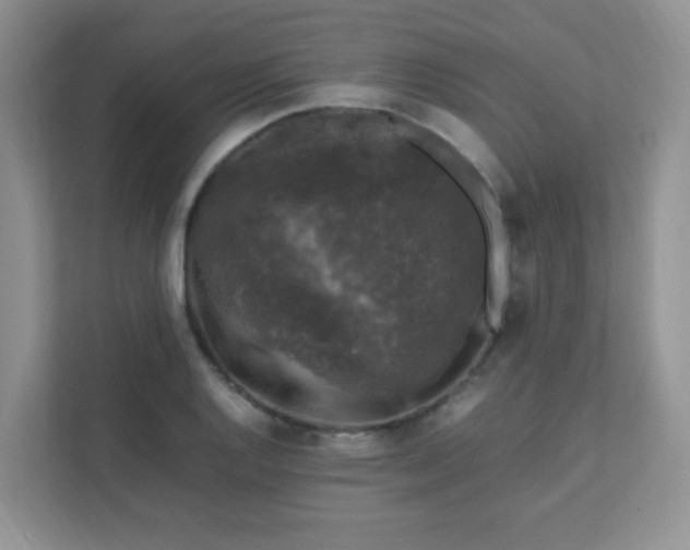 X0000111601128200907301441