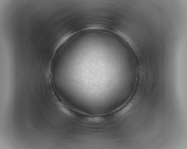 X0000111601129200907301441