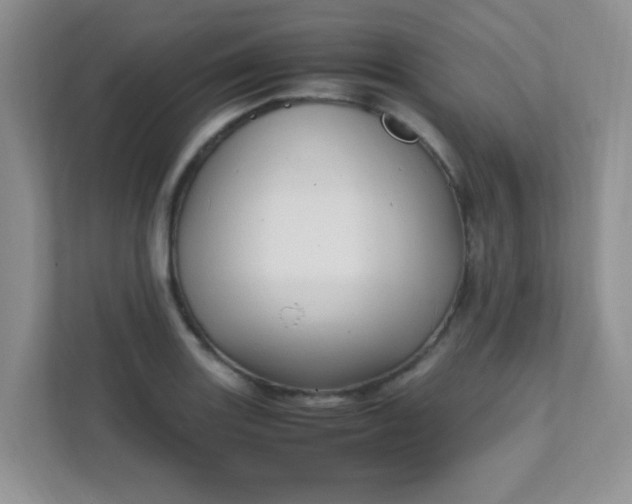 X0000111601131200907301441