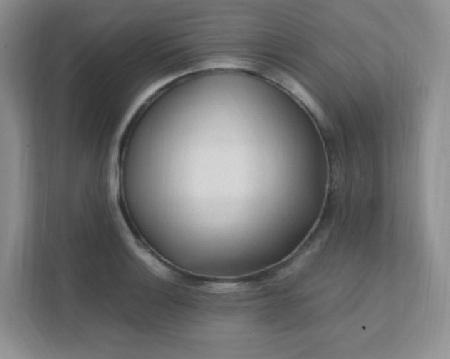 X0000111601132200907301441