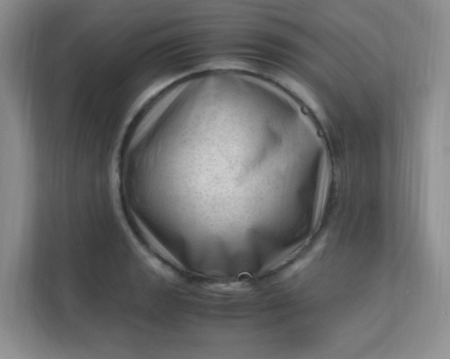 X0000111601133200907301441