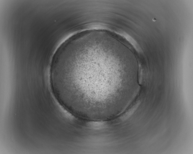 X0000111601134200907301441