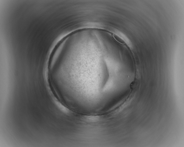 X0000111601136200907301441
