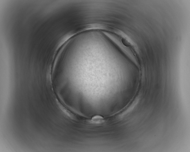 X0000111601137200907301441