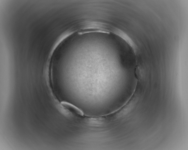 X0000111601138200907301441