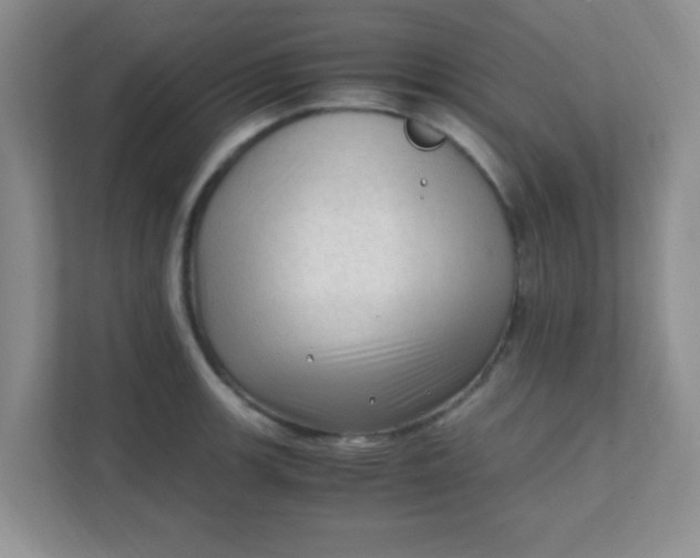 X0000111601139200907301441