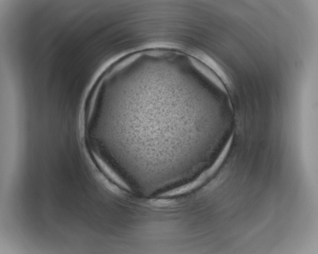 X0000111601140200907301441