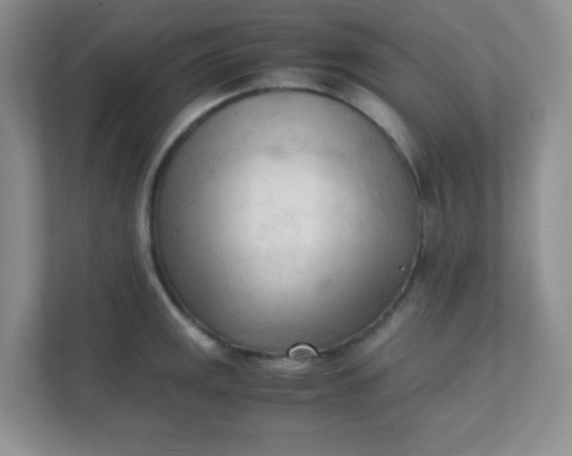 X0000111601141200907301441