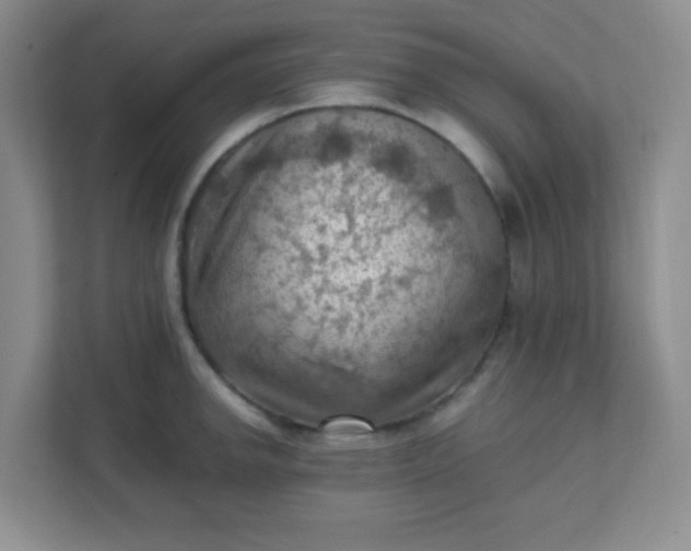 X0000111601142200907301441