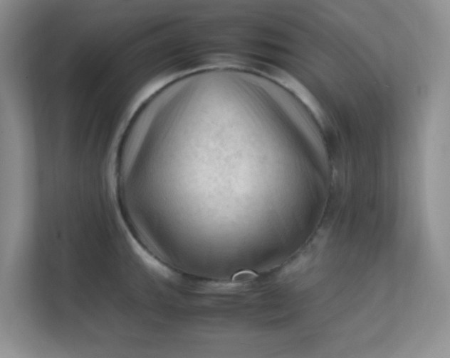 X0000111601143200907301441