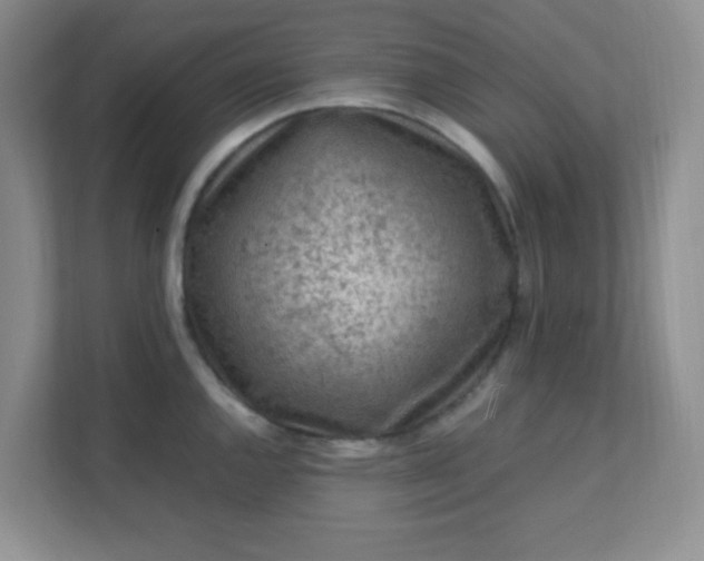 X0000111601144200907301441