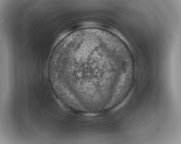 X0000111601145200907301441