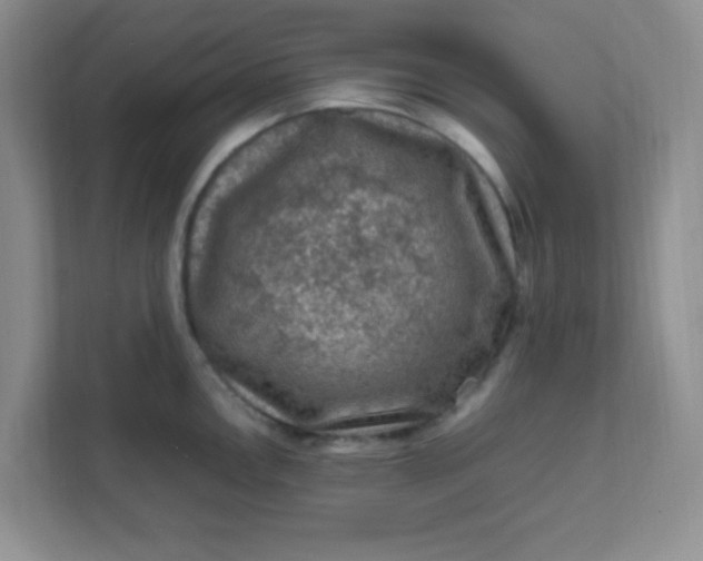X0000111601146200907301441