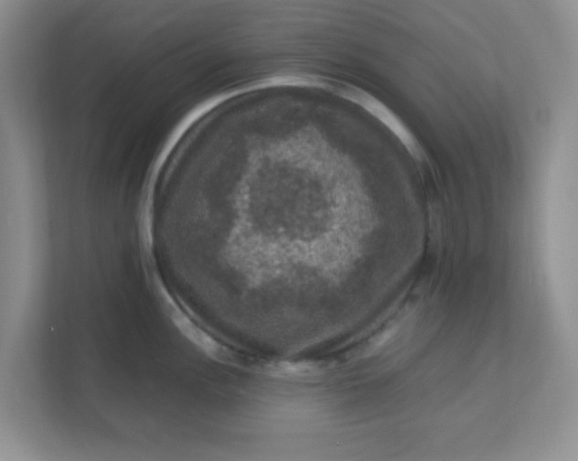 X0000111601148200907301441