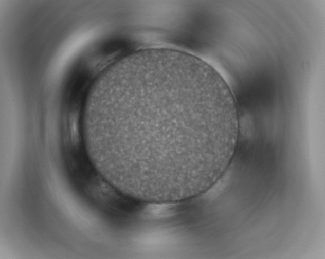 X0000111601150200907301441