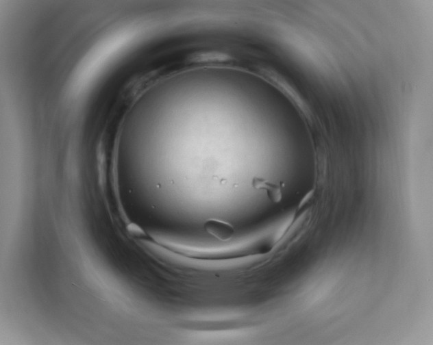X0000111601151200907301441