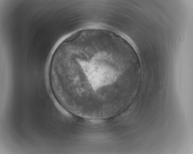 X0000111601152200907301441