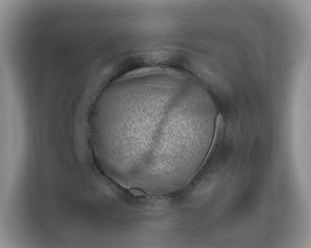 X0000111601153200907301441