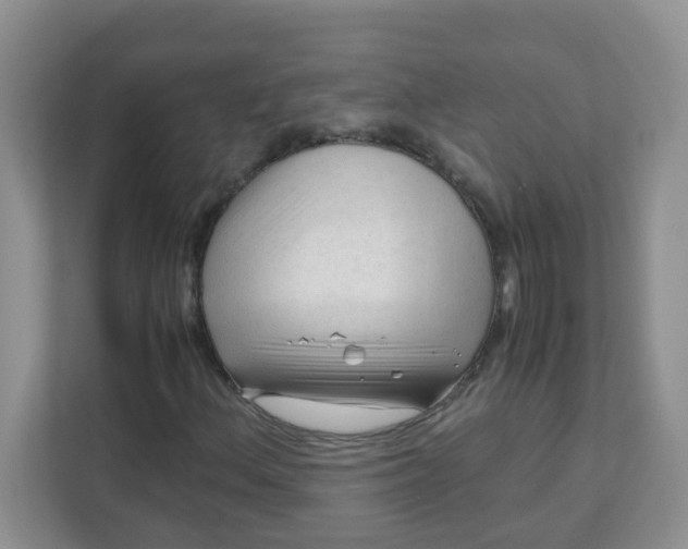 X0000111601156200907301441