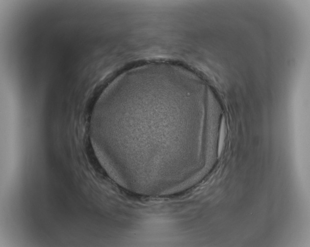 X0000111601157200907301441