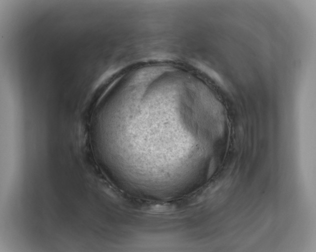 X0000111601160200907301441