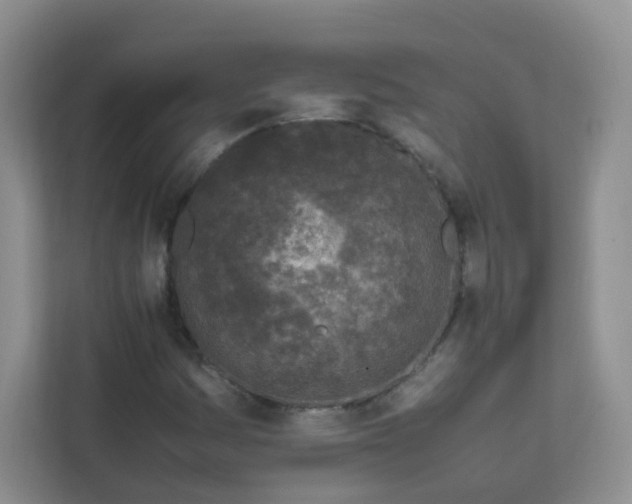 X0000111601161200907301441