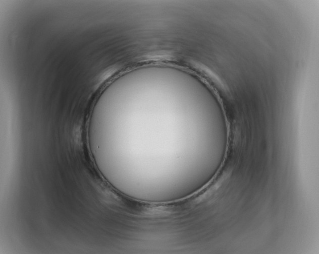 X0000111601162200907301441
