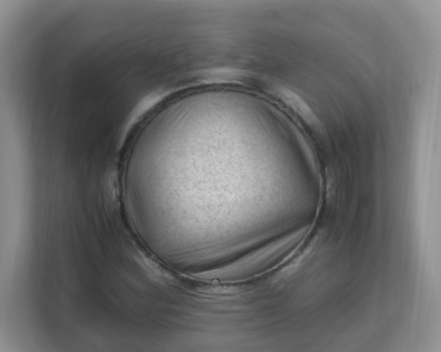 X0000111601164200907301441