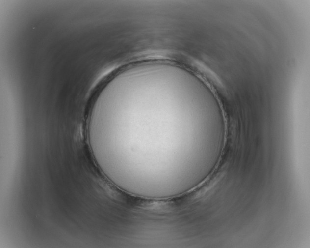 X0000111601166200907301440