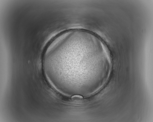 X0000111601167200907301440