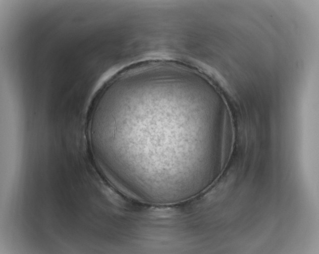 X0000111601168200907301440