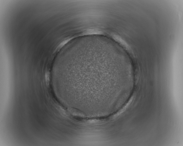 X0000111601169200907301440