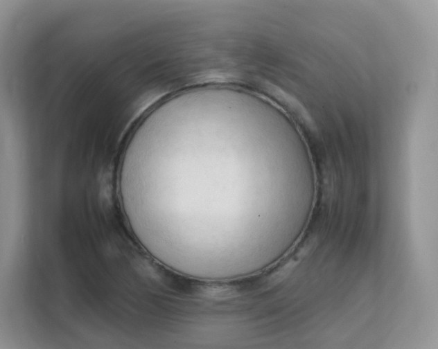 X0000111601170200907301440