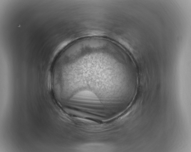 X0000111601171200907301440