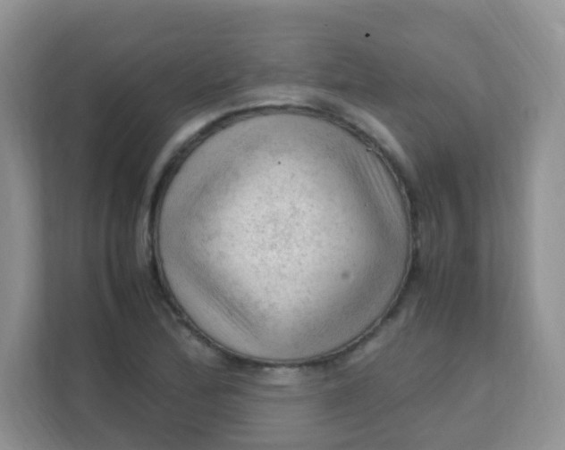 X0000111601172200907301440