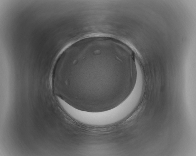 X0000111601173200907301440