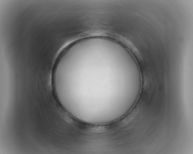 X0000111601174200907301440