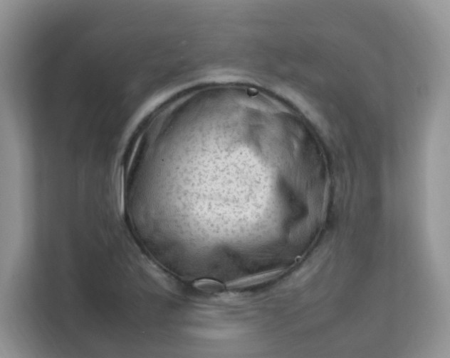 X0000111601175200907301440
