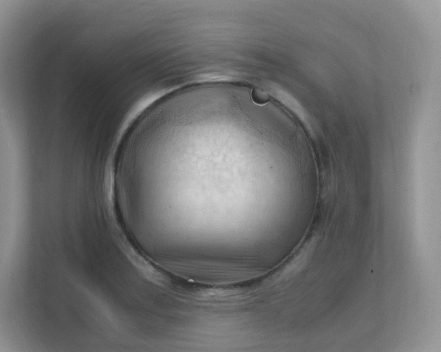 X0000111601179200907301440