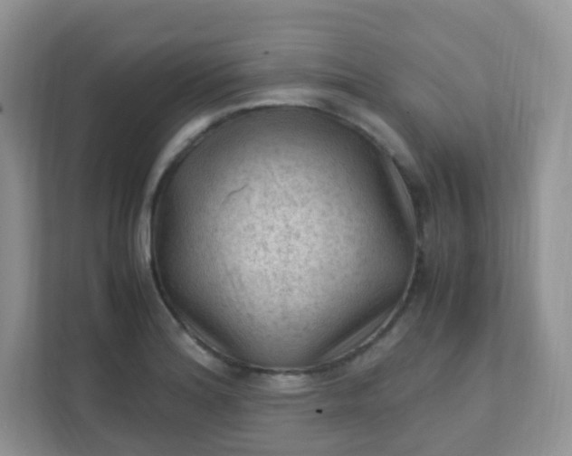 X0000111601180200907301440