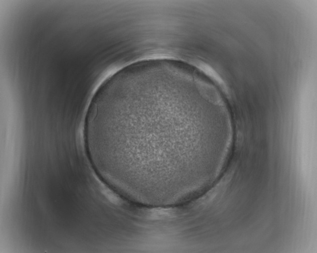 X0000111601181200907301440