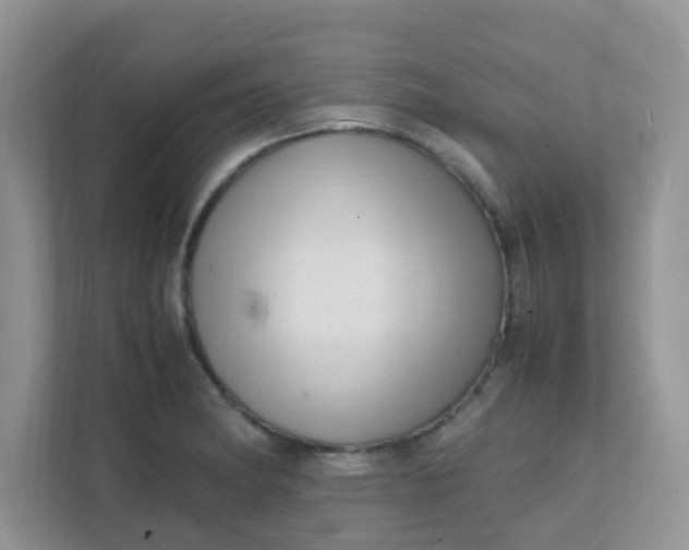 X0000111601182200907301440