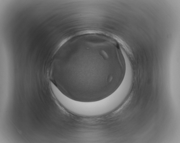 X0000111601185200907301440