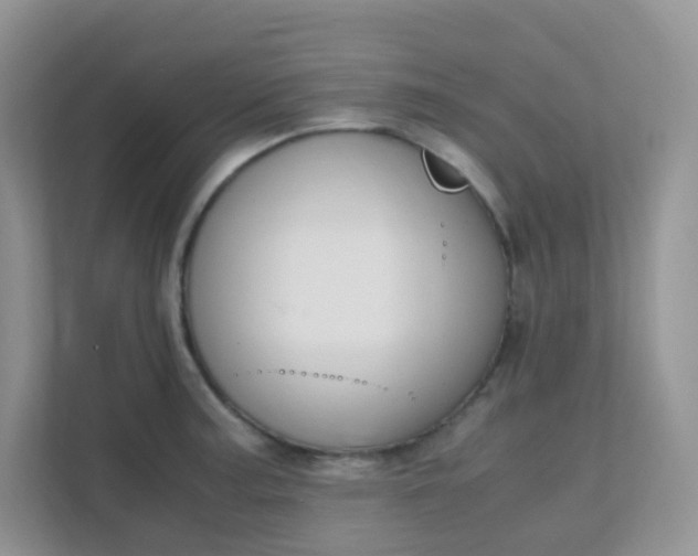 X0000111601187200907301440