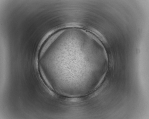 X0000111601188200907301440